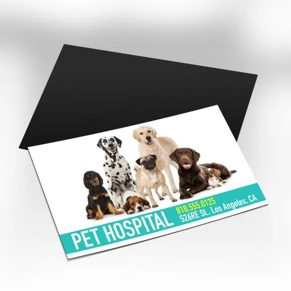 Magnetic Business Cards - Outta Phx Print shop